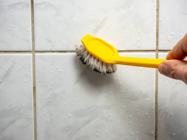 Best Mold Removal Near Me  in Sebastopol, CA