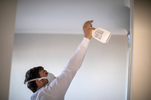 Best Home Mold Removal  in Sebastopol, CA